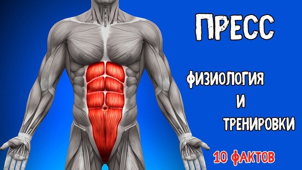 10 фактов Физиология и Тренировки