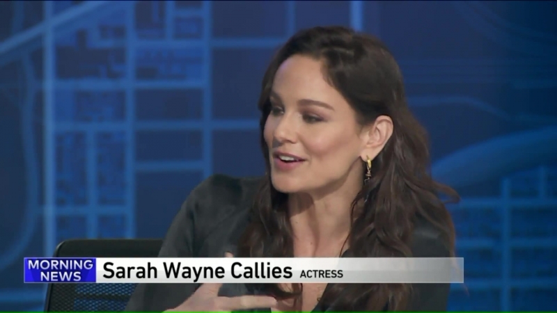 Интервью и публичные появления