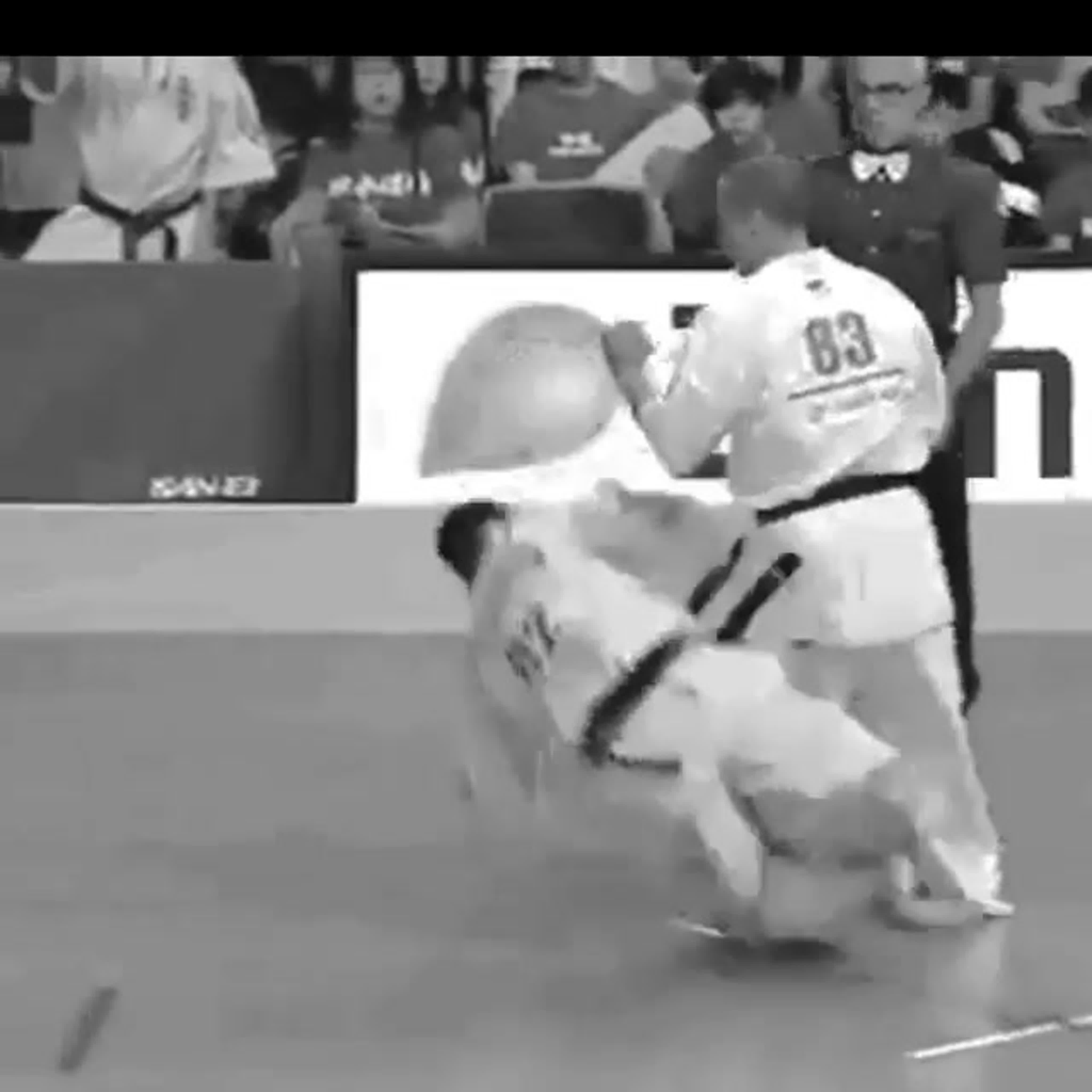 Taekwondo
