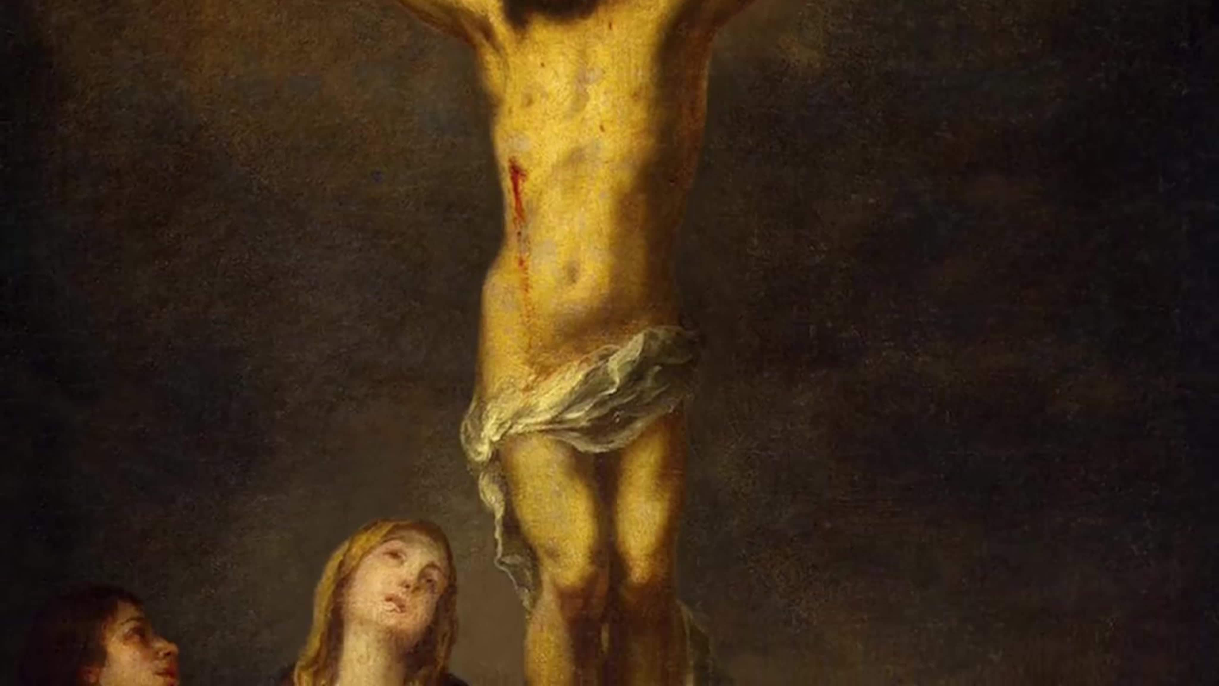 СТУДИЯ НЕОФИТ