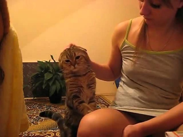 cute