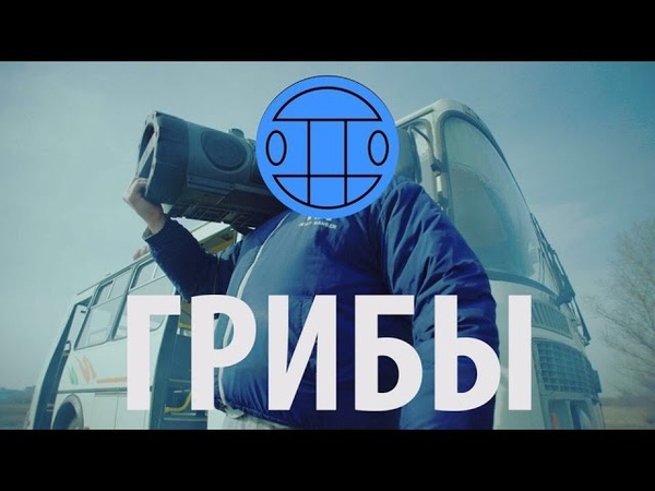 Грибы