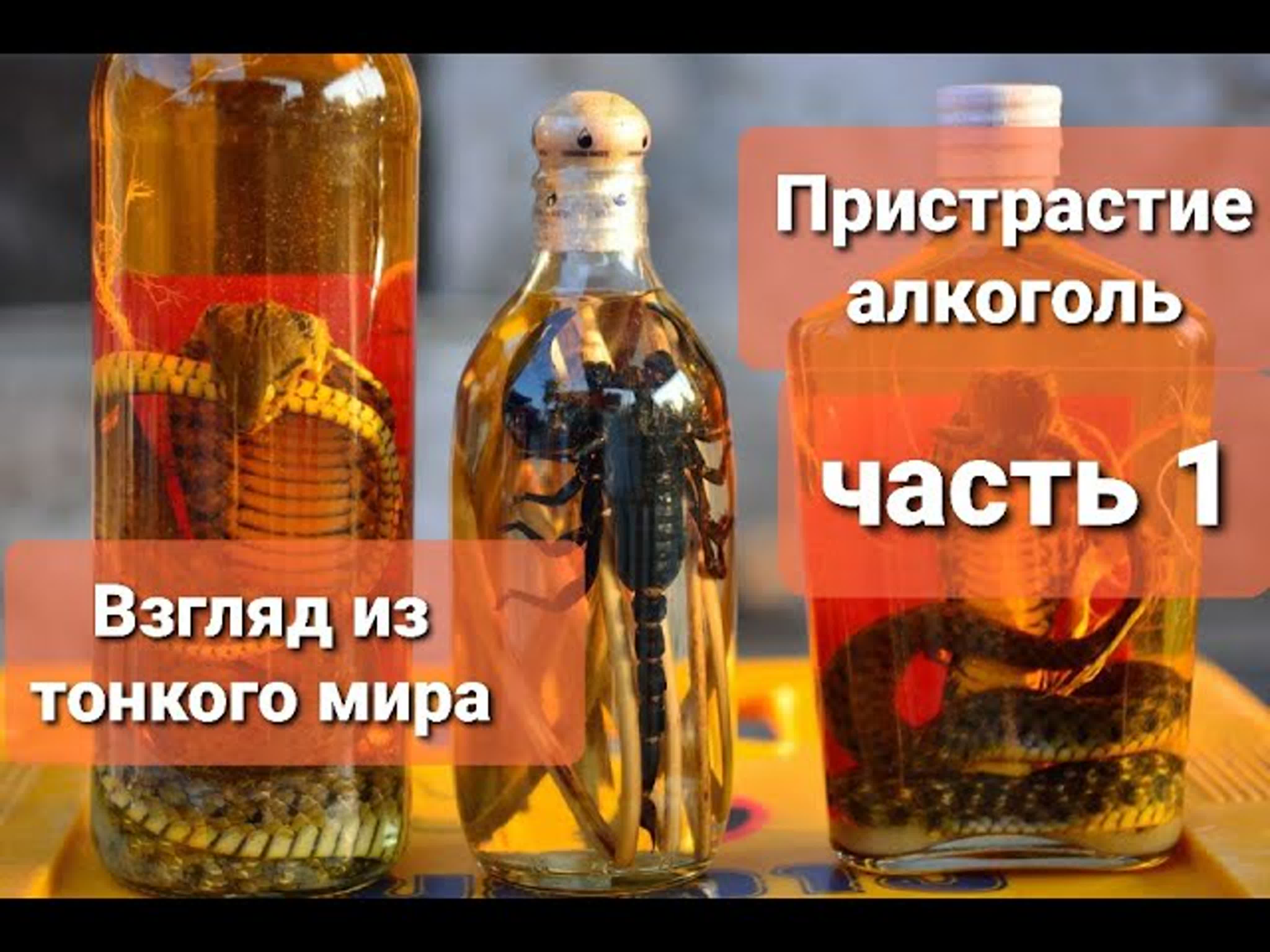 Привязки / Пристрастия