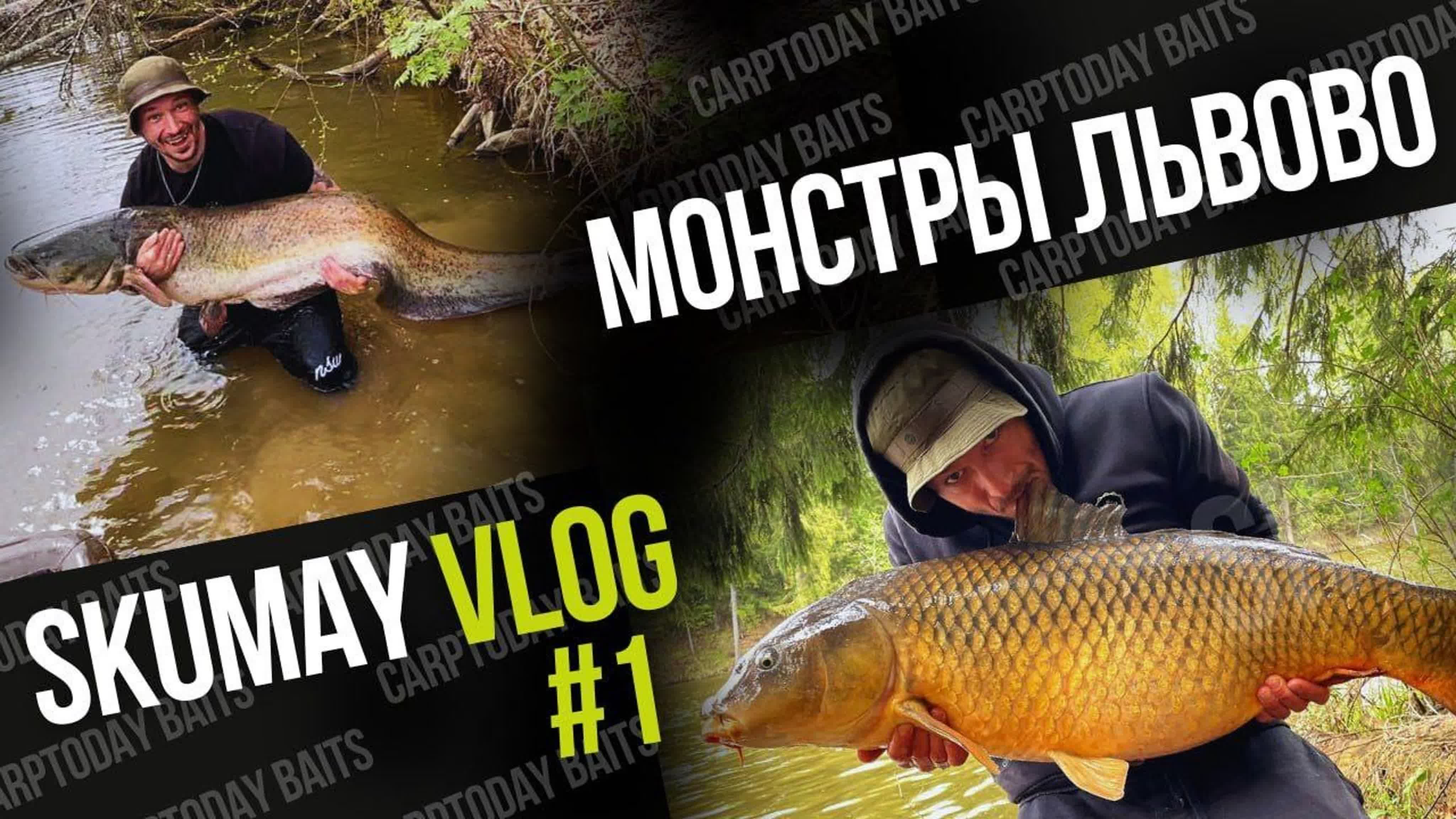 Синдикат Carptoday
