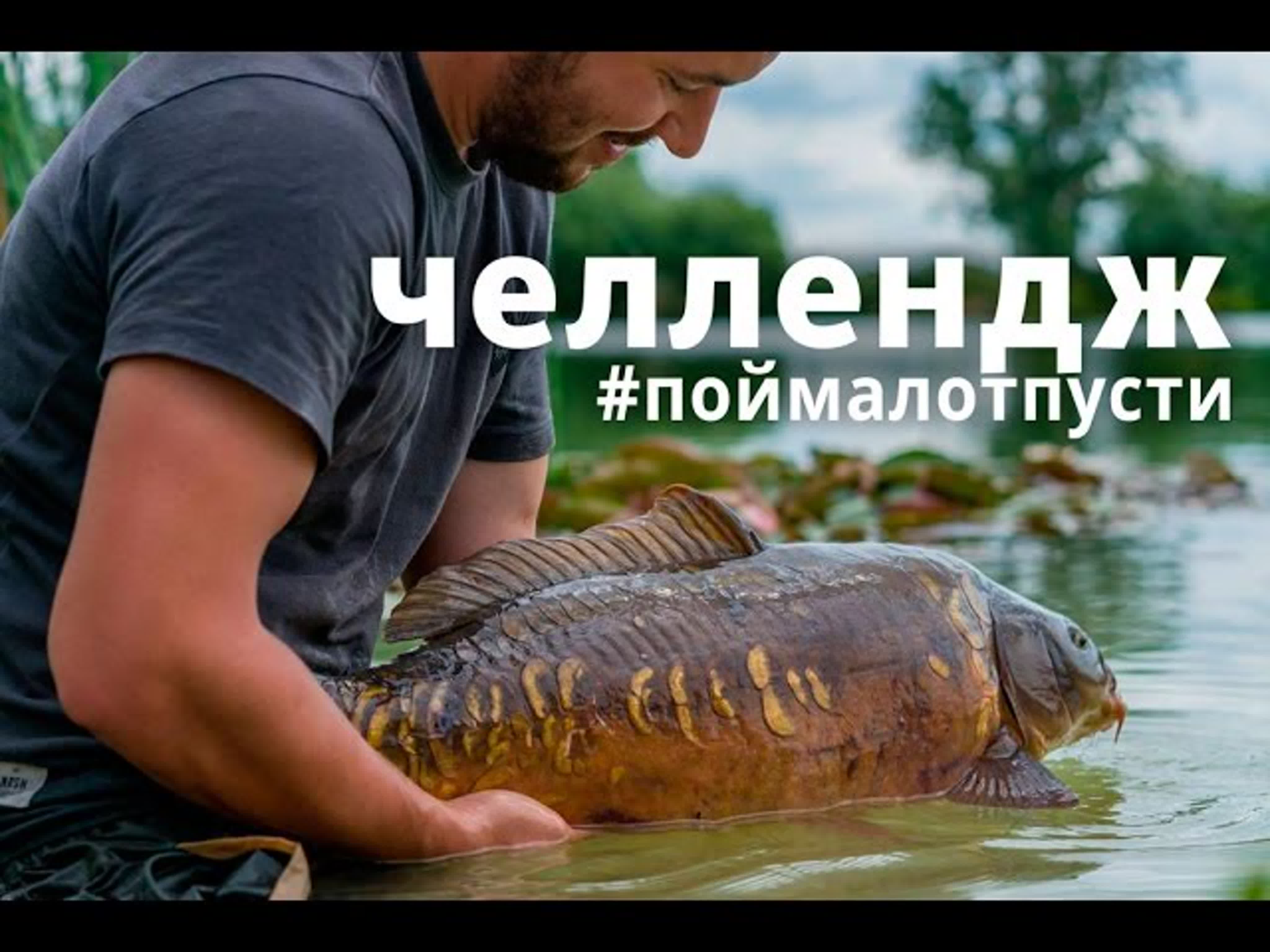 #поймалотпусти