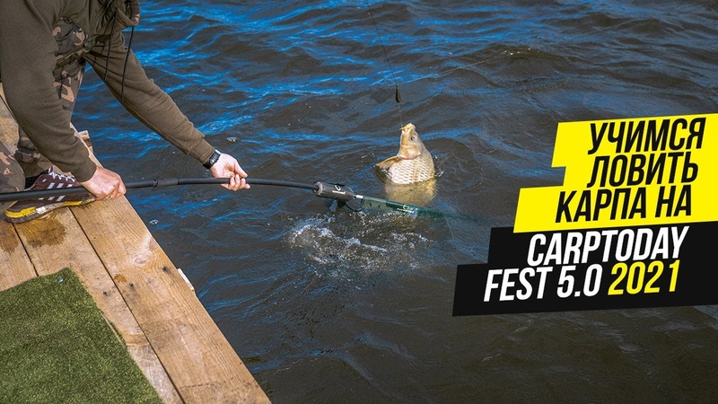 Carptoday Team