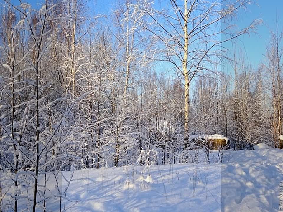 Мои сделанные видео - 2. дек. 2023-