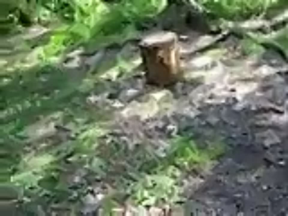 поход