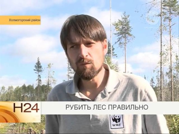 сергель
