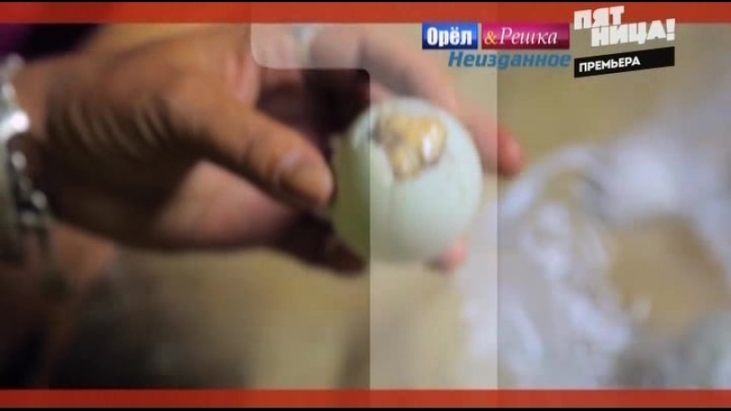 Орел и решка