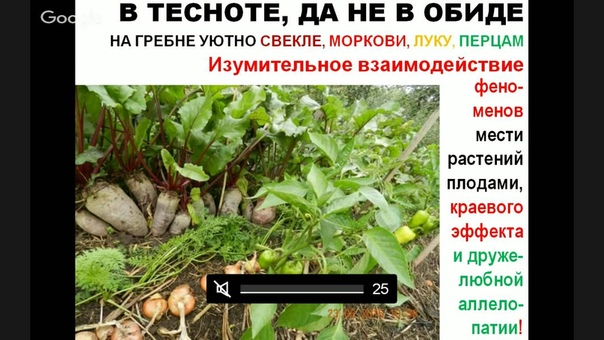 Природа тихо умоляет ... Cпаси её и сохрани