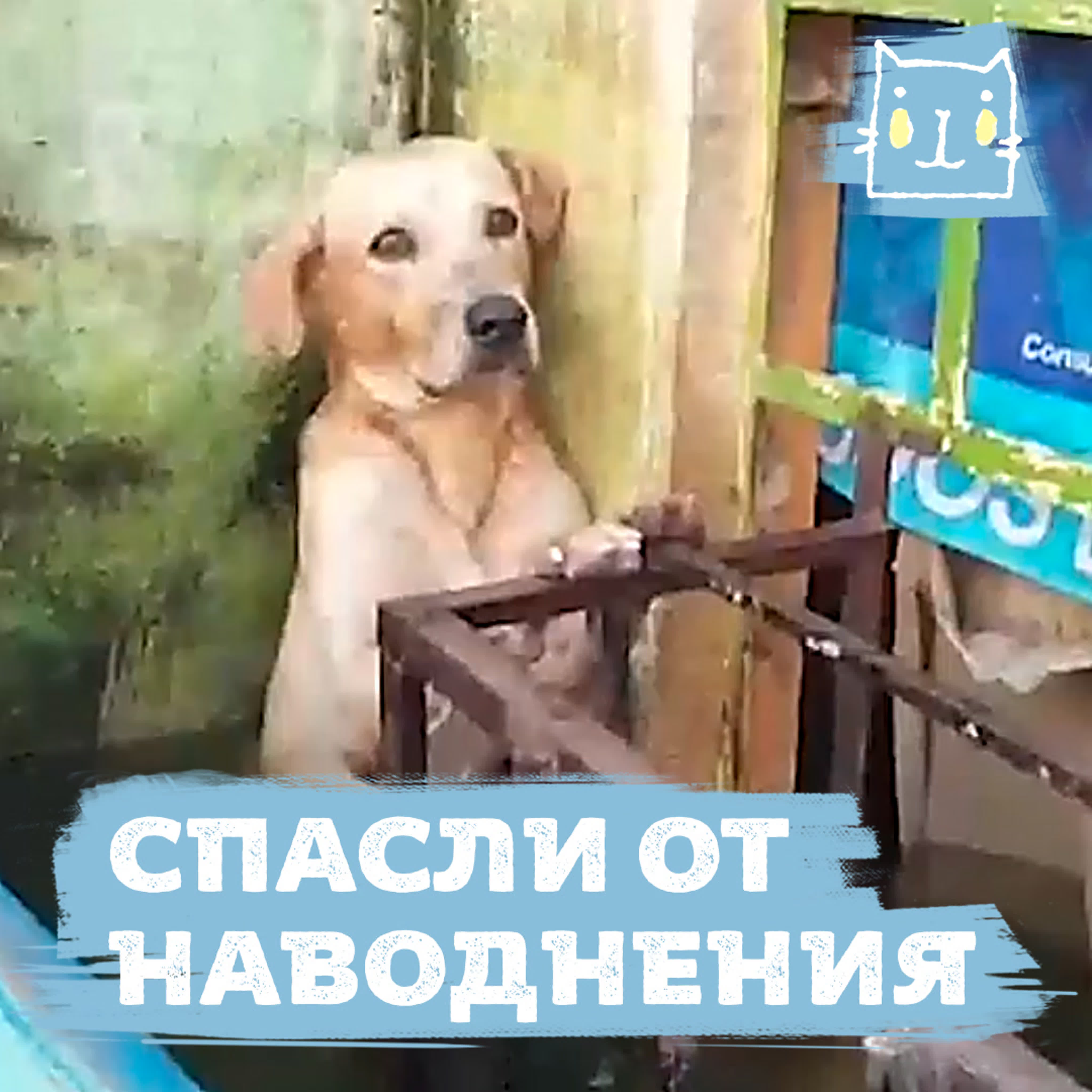 ВСЕ ПОЛЬЗОВАТЕЛИ