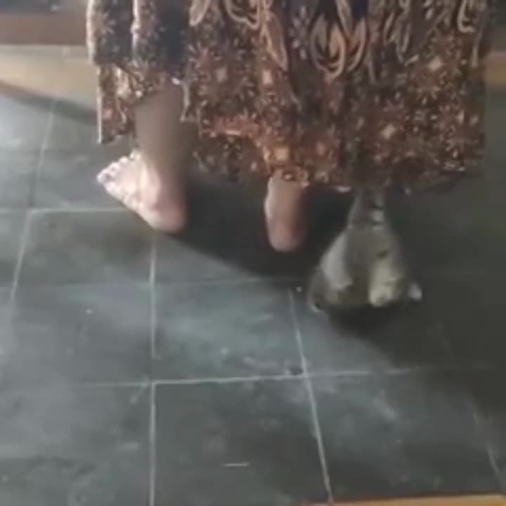 МОИ ВИДЕО