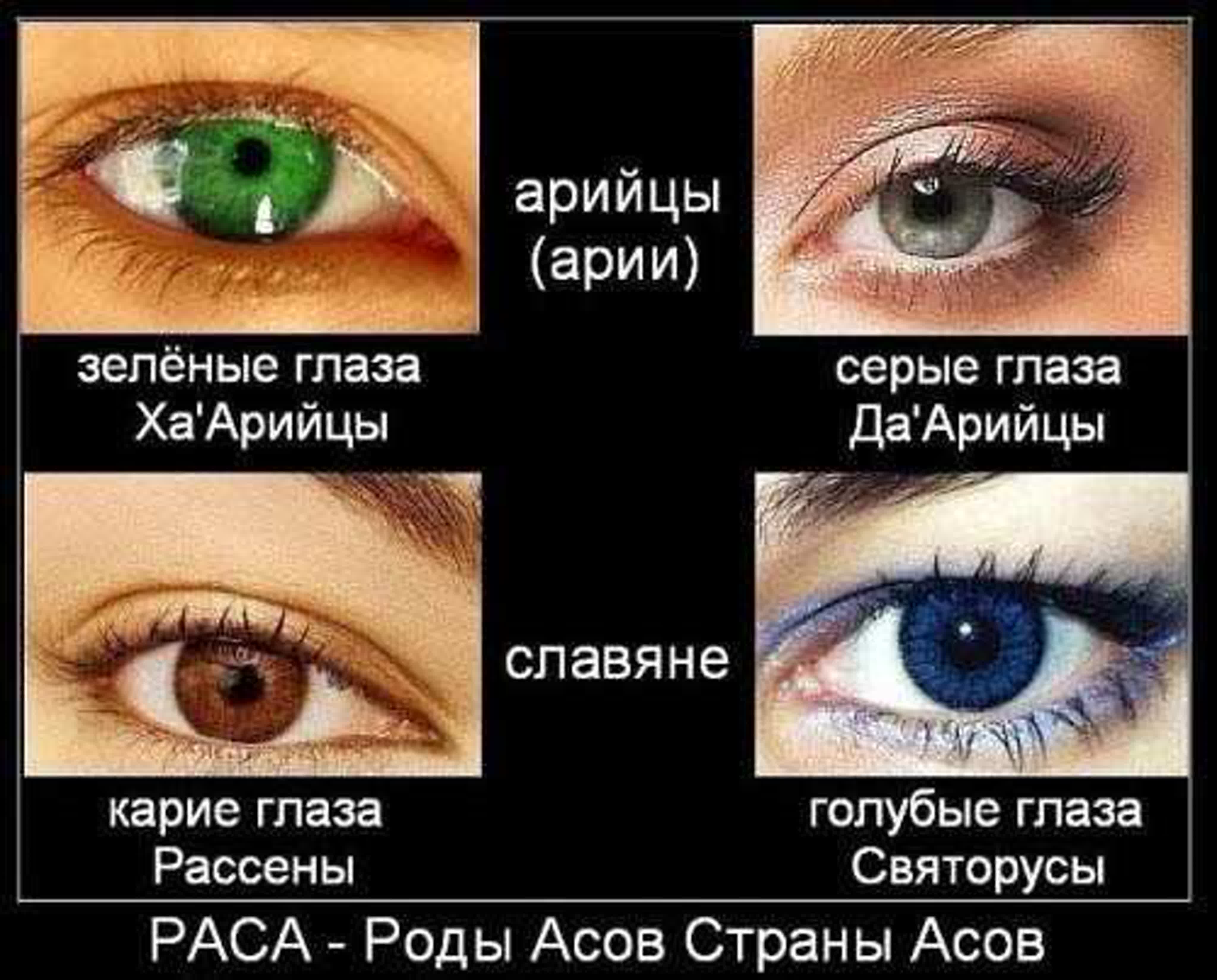 СЛАВЯНО - АРИЙСКАЯ АКАДЕМИЯ НАУК