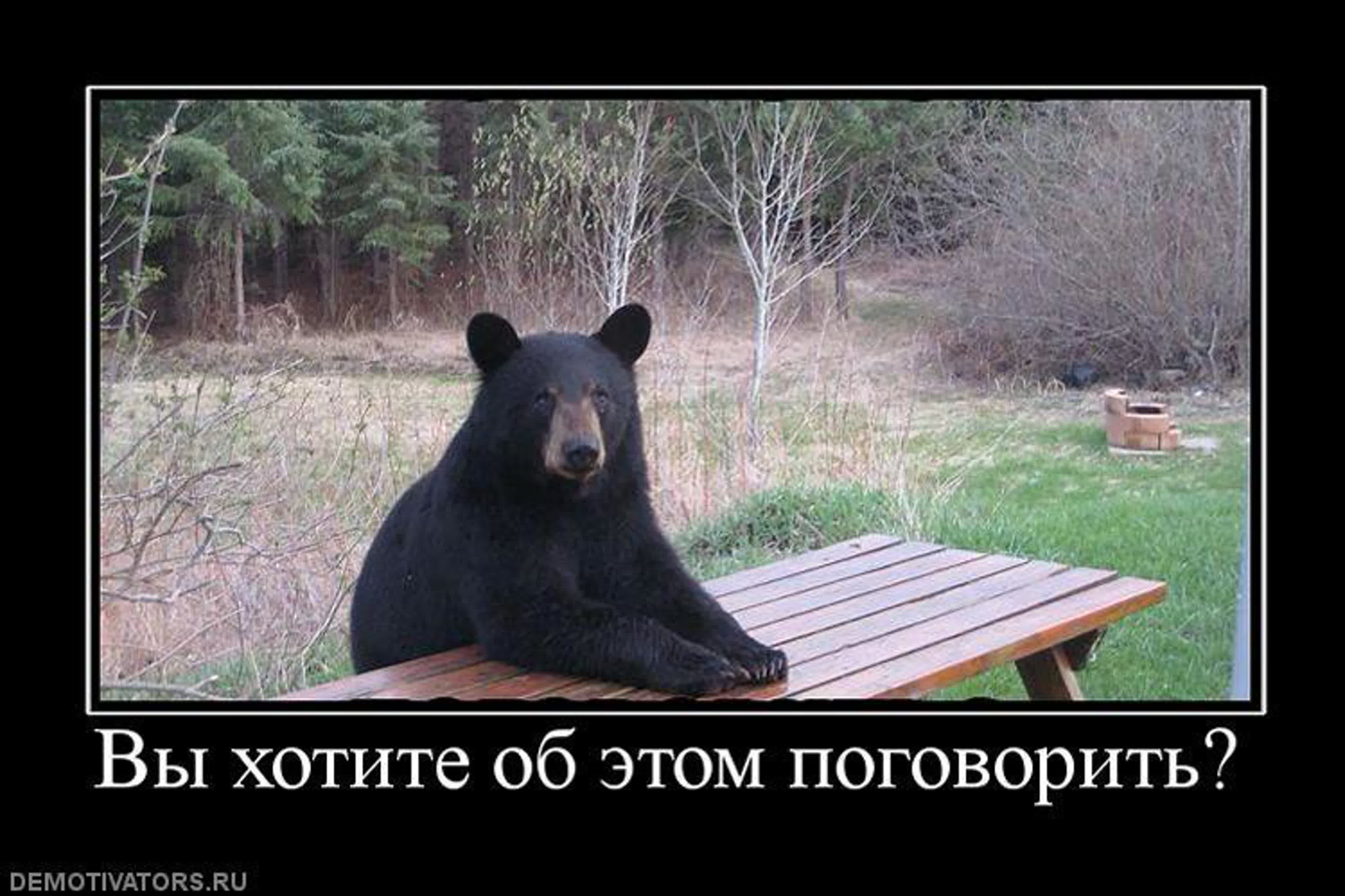 ЖИВОТНЫЕ , ЛЮДИ И ЖИВЫЕ КАРТИНКИ