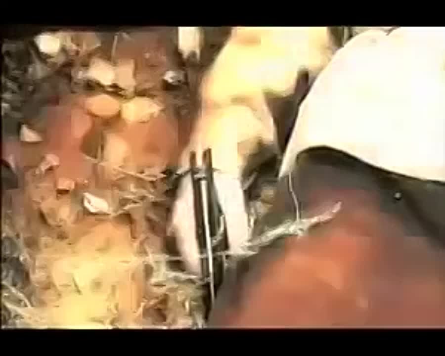 ВЕЛИКИЙ ДЖУГАШВИЛЛИ-СТАЛИН