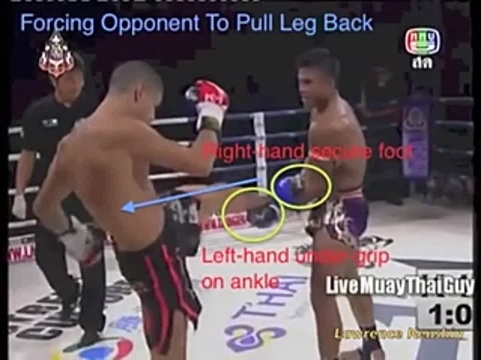 Tiger Muay Thai & Muay Thai