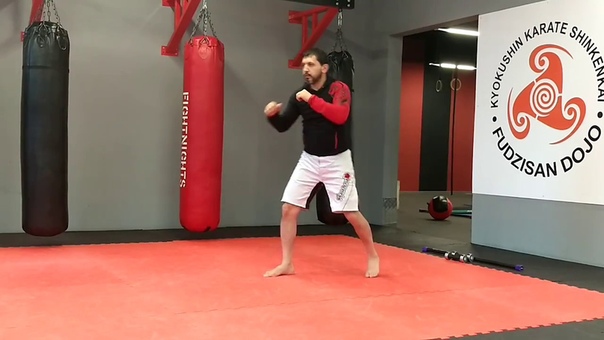 Asatryan dojo