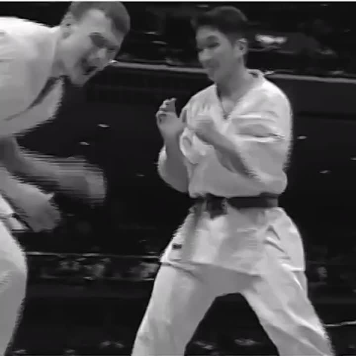 Нарушима Рю - Narushima Ryu