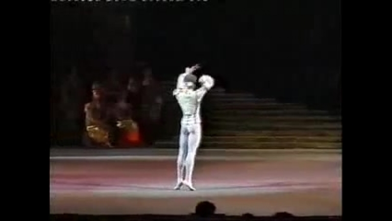 Beautiful videos