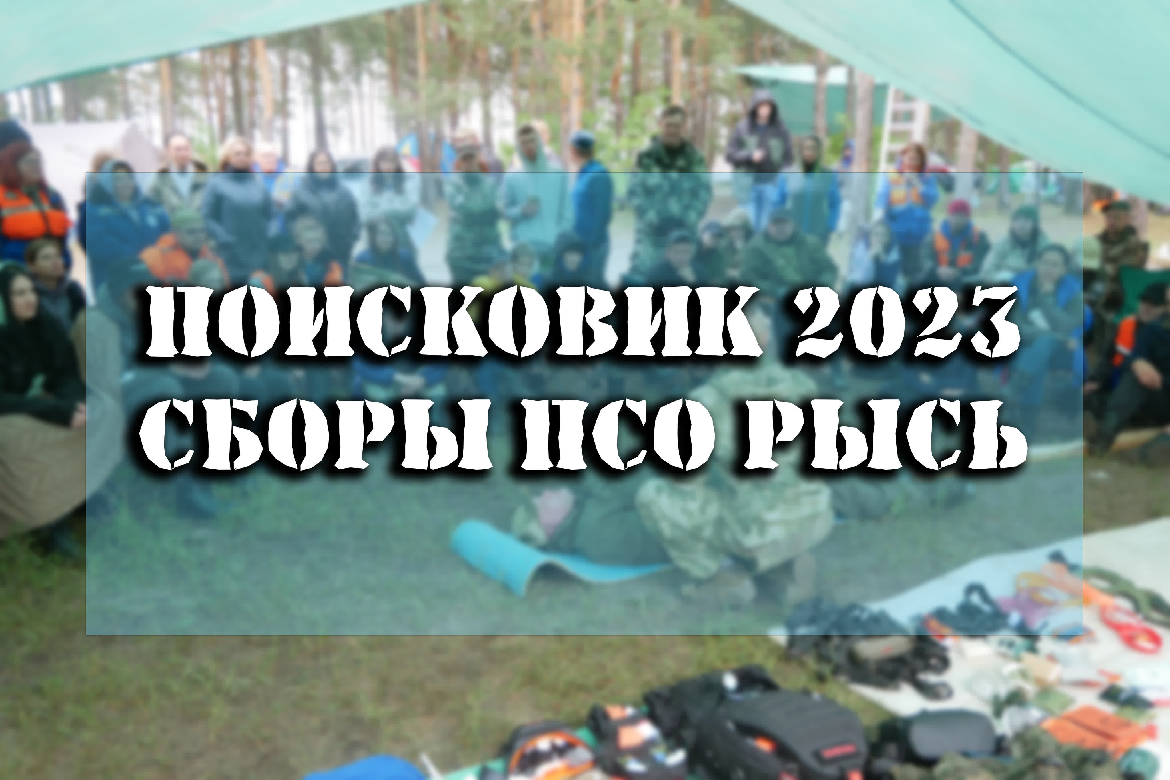 Общественная деятельность