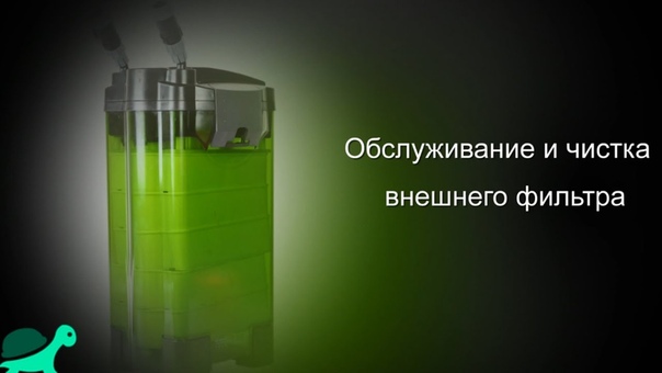 Аквариум и Рыбки