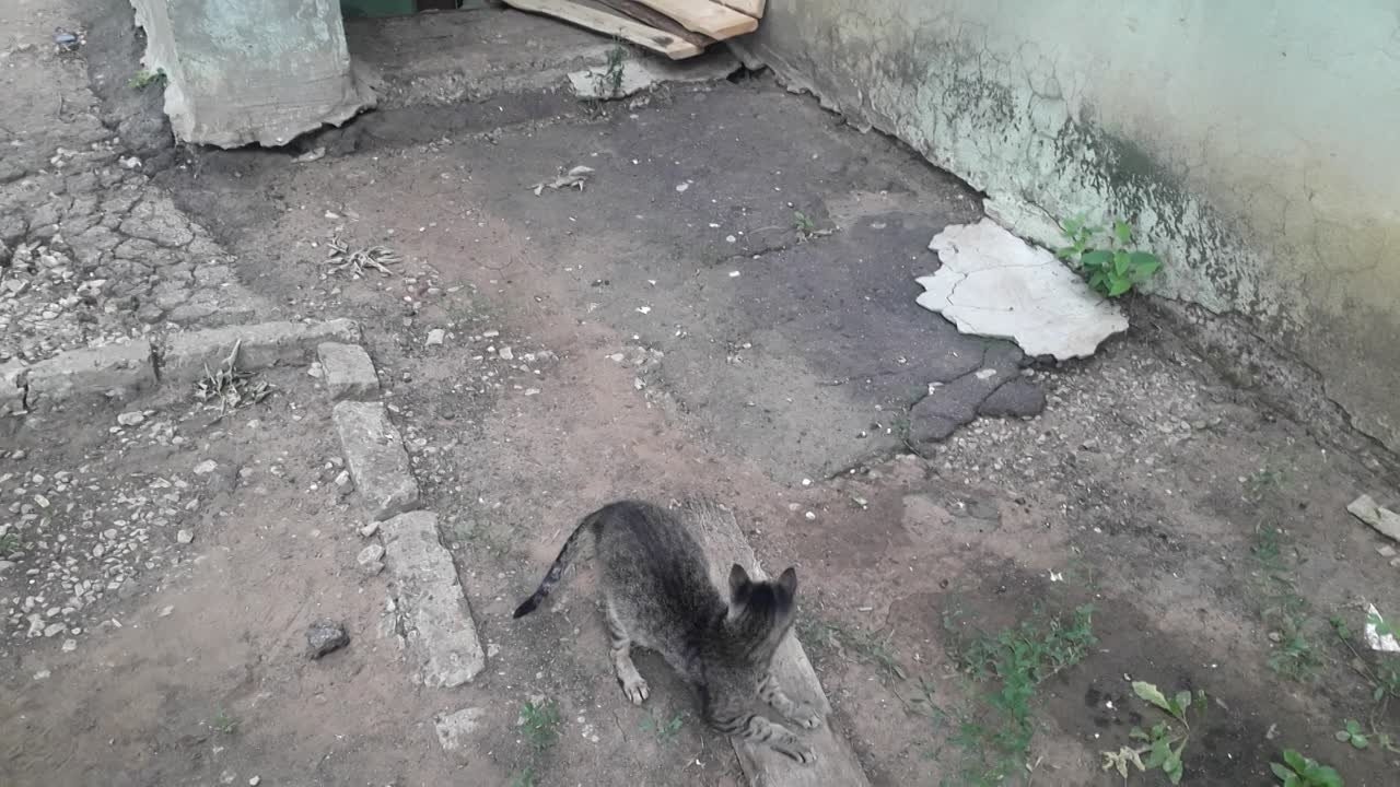 Работа