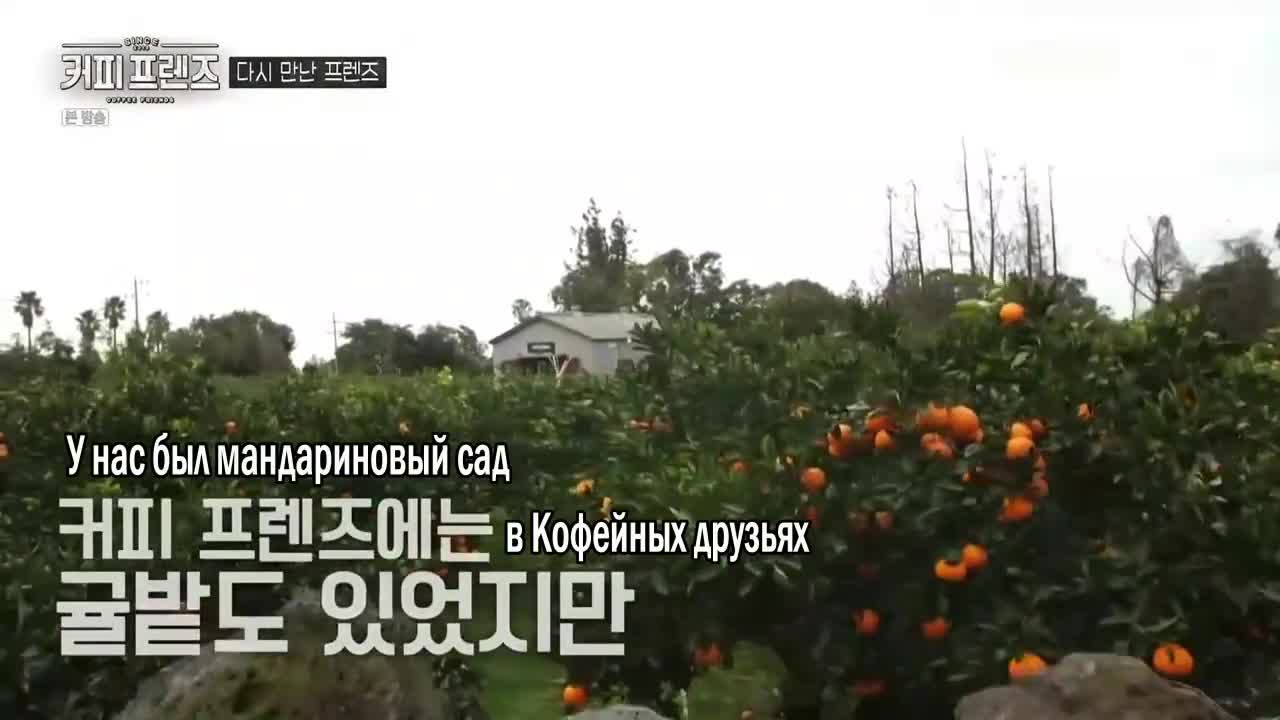 Кофейные друзья\ Coffee friends\ 2019