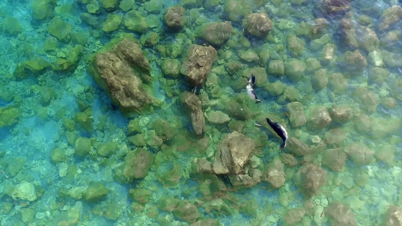 Скрытые чудеса Европы