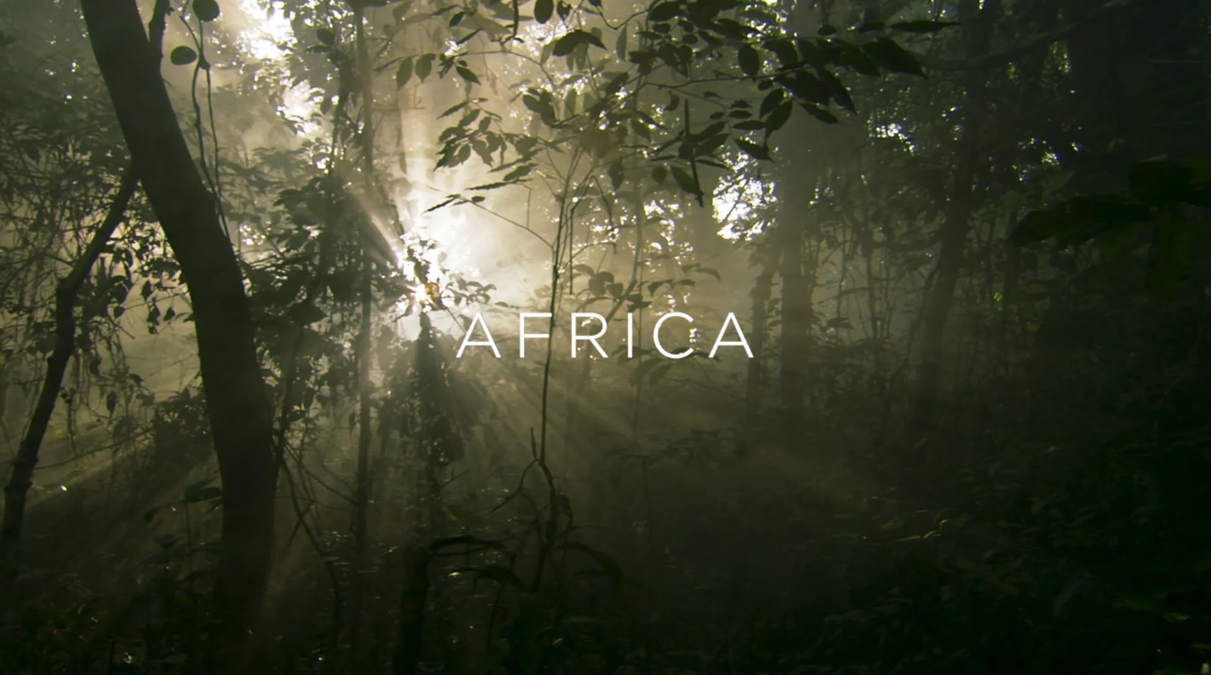 Семь миров, одна планета