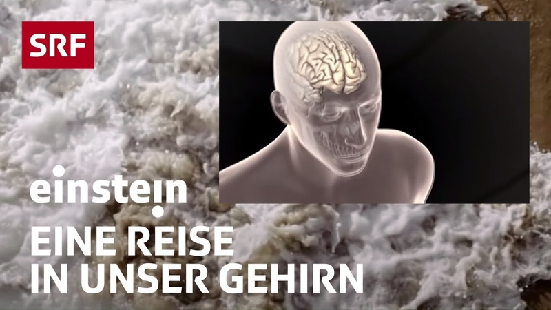 Körperliches Ich-Bewusstsein
