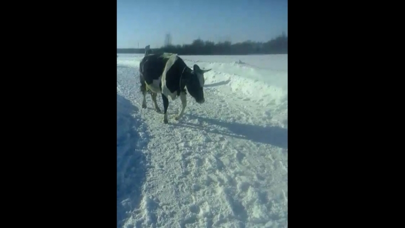 видео со мной