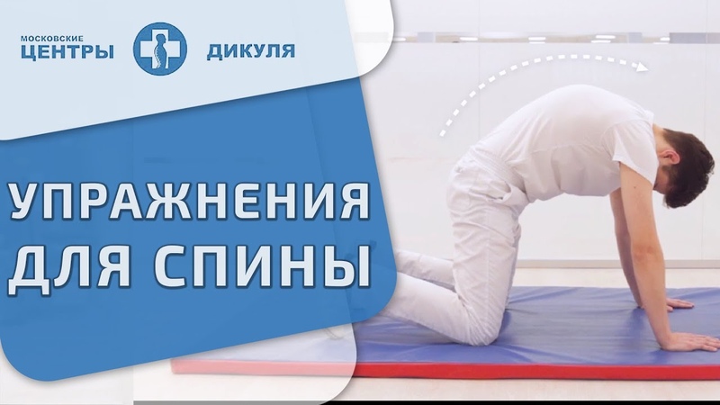 В. И. Дикуль