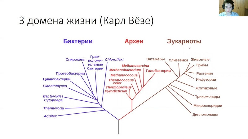 Фильмы по БИОЛОГИИ