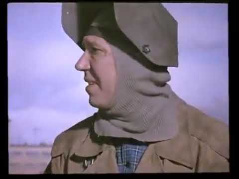 видео - Юмор в кино! Анекдоты!