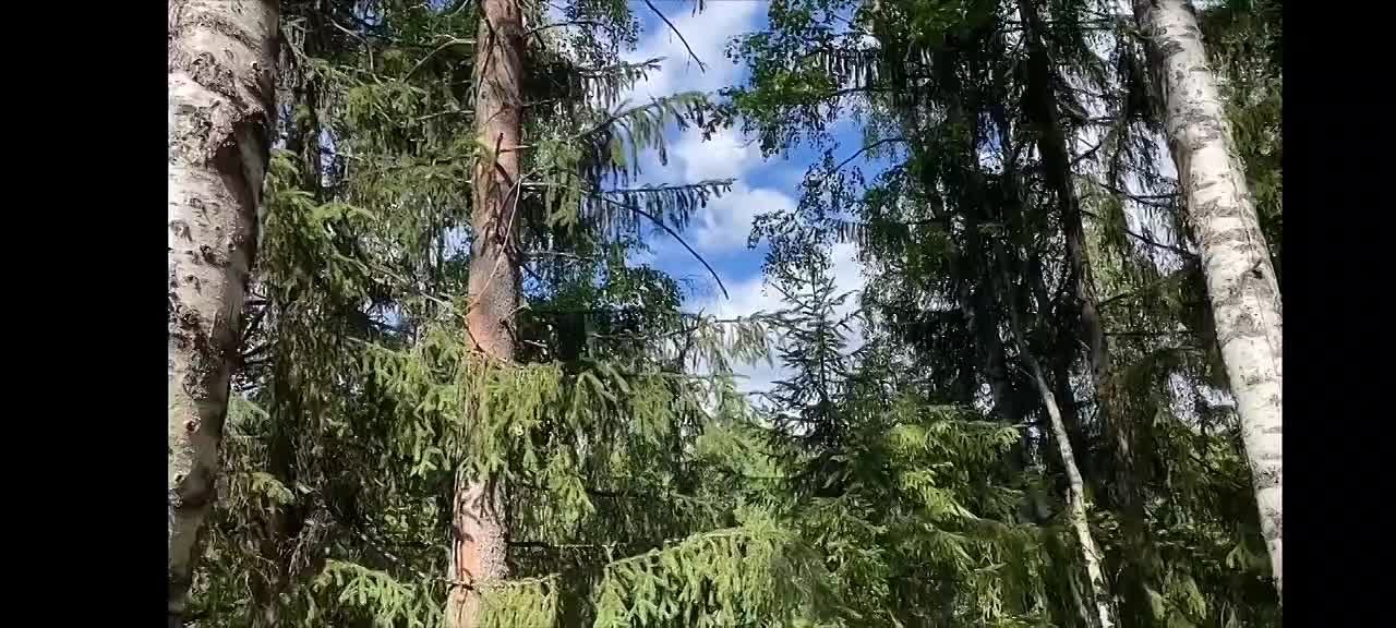Карелия