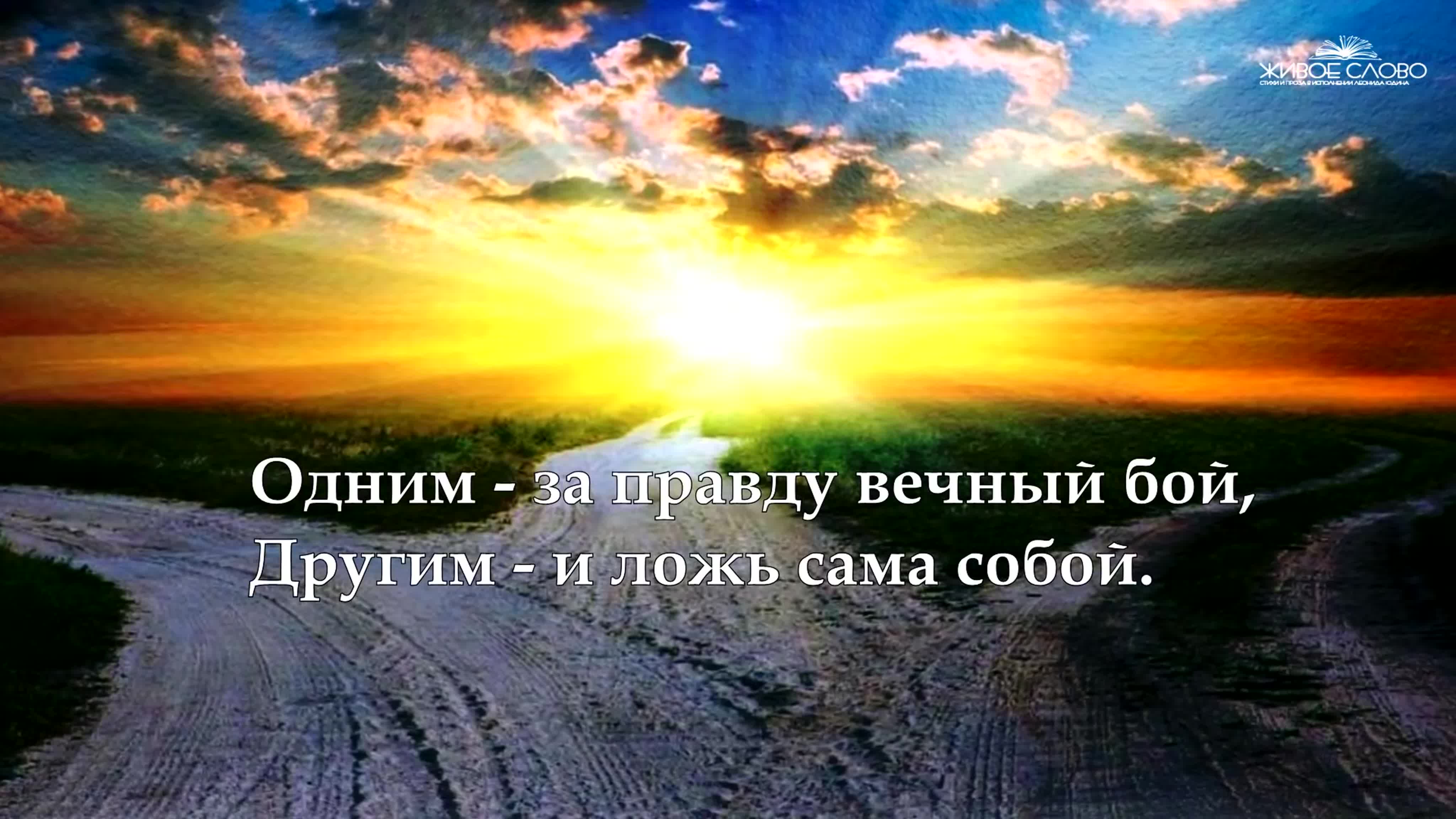 Стихи