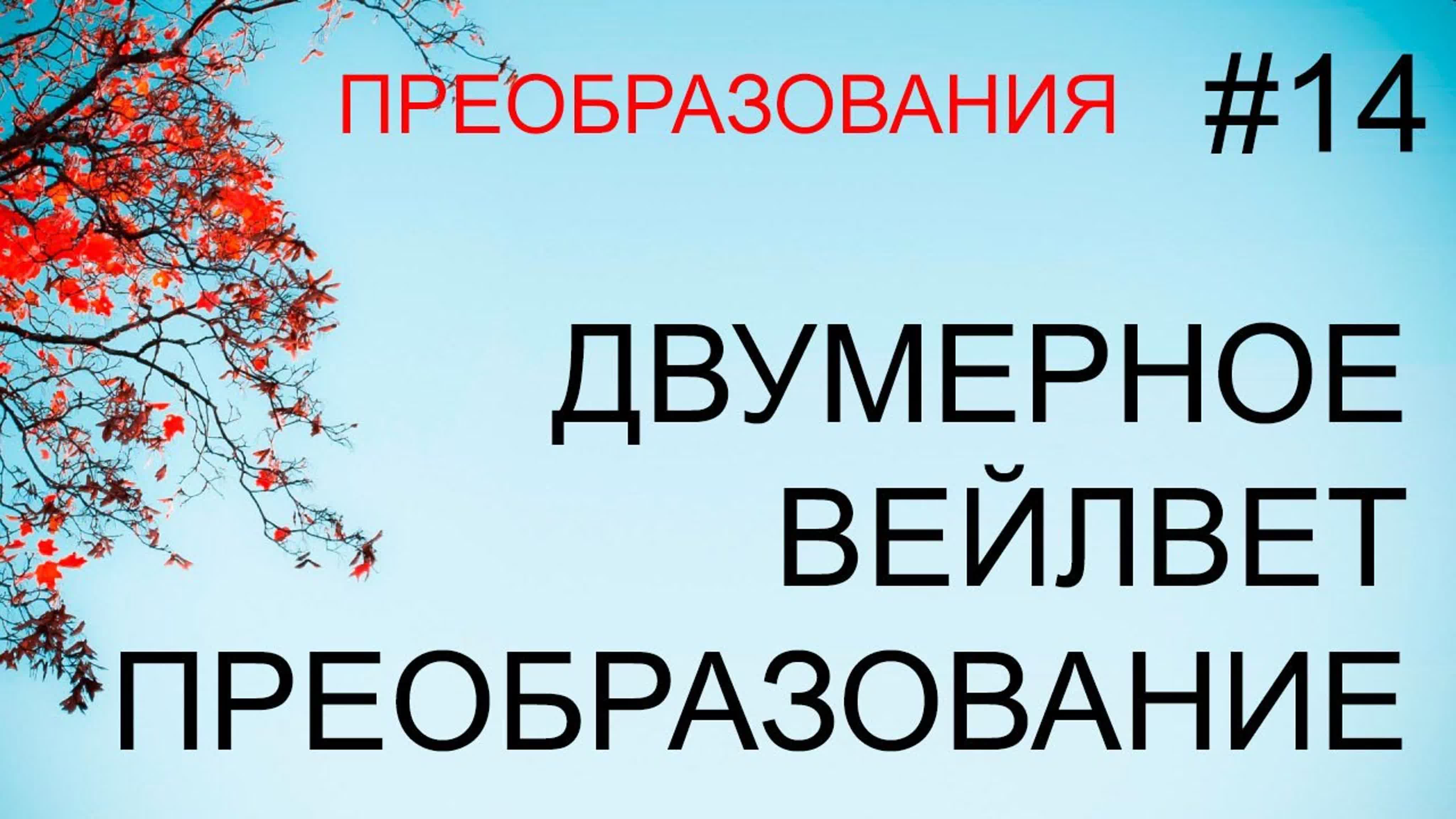 Векторы и преобразования