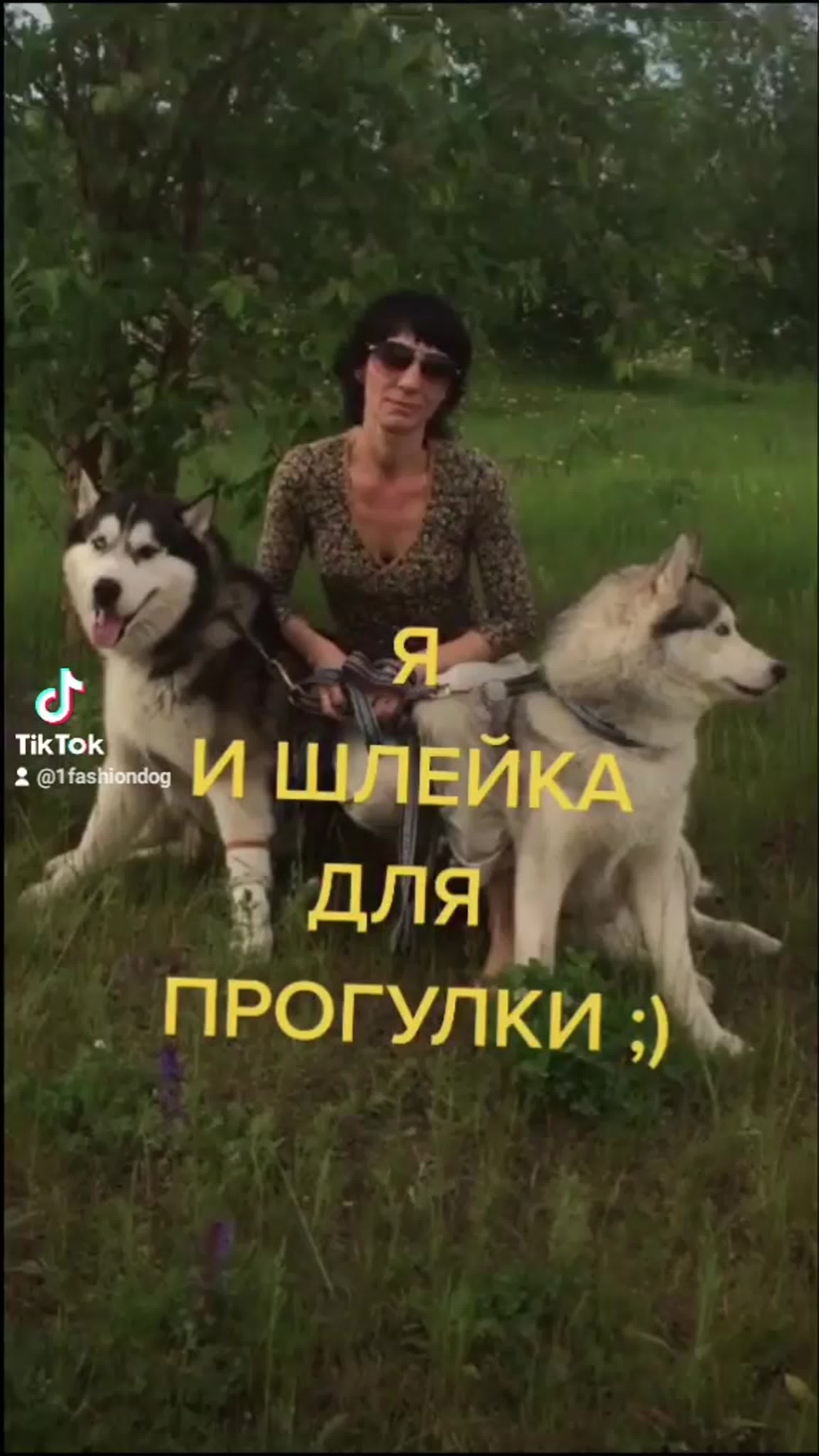 ЛЮБИМЫЙ ПЁС
