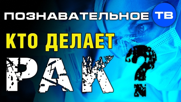 ПОЗНАВАТЕЛЬНОЕ ТВ