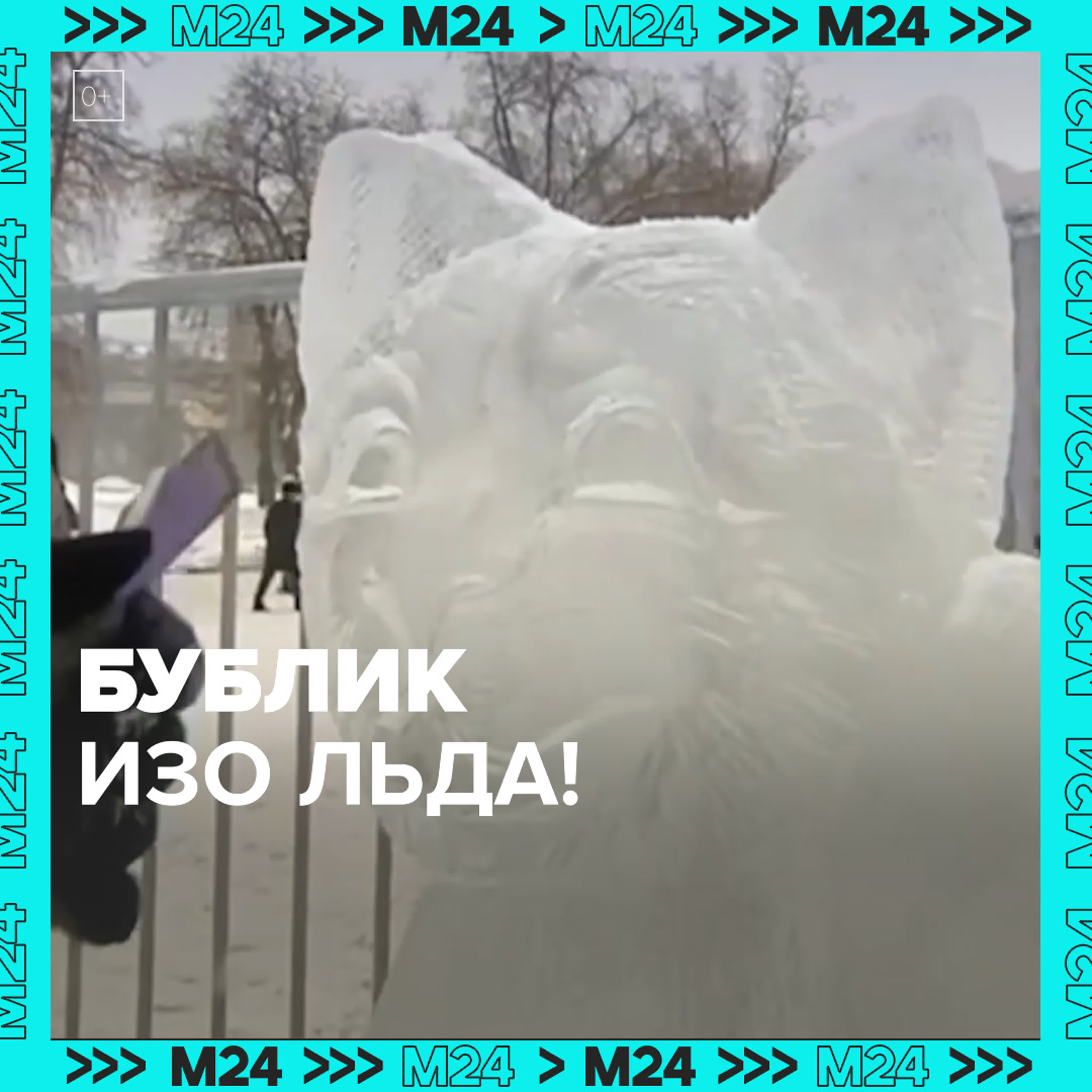 Кот Бублик - Москва 24
