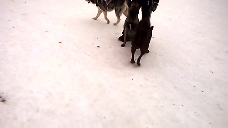 Встреча_20160305