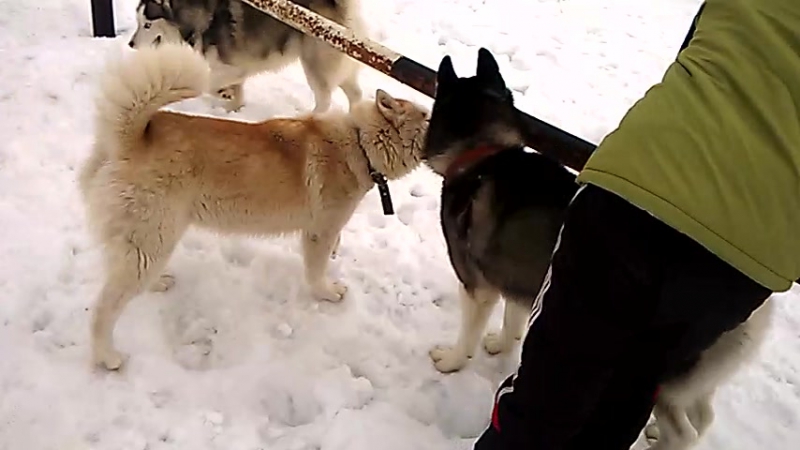 Снятое с телефона