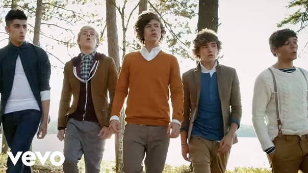 OneDirectionVEVO