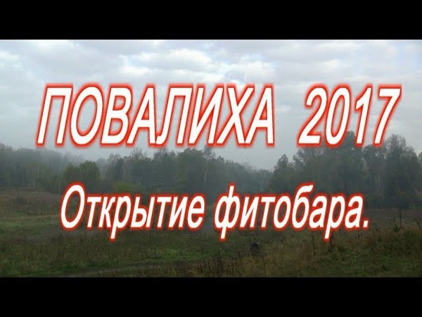 Повалиха-2017. Открытие фитобара