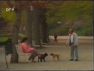 EuroVision 1987