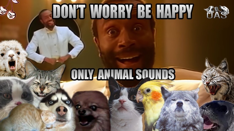 ANIMAL COVER