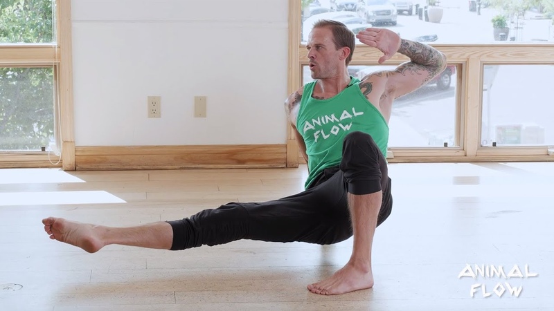 Animal Flow & Primal Movement