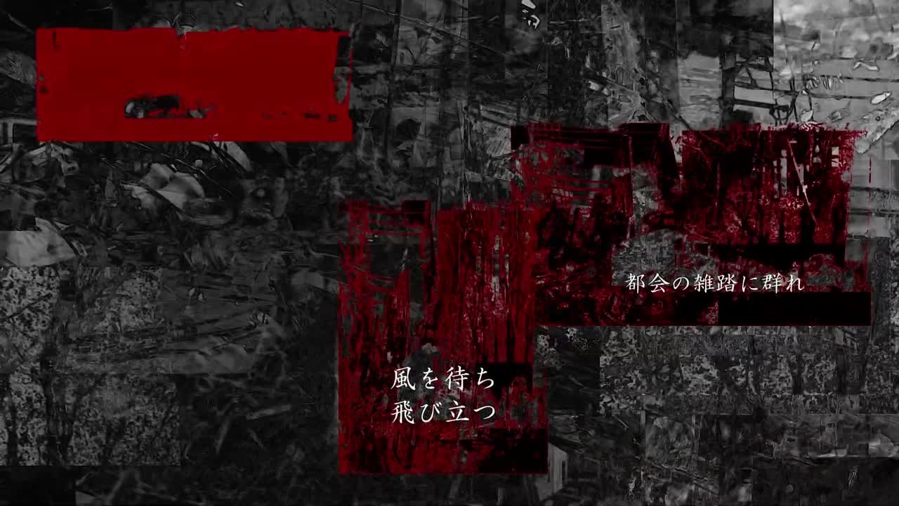 HIZUMI (D'espairsRay, NUL.) PV
