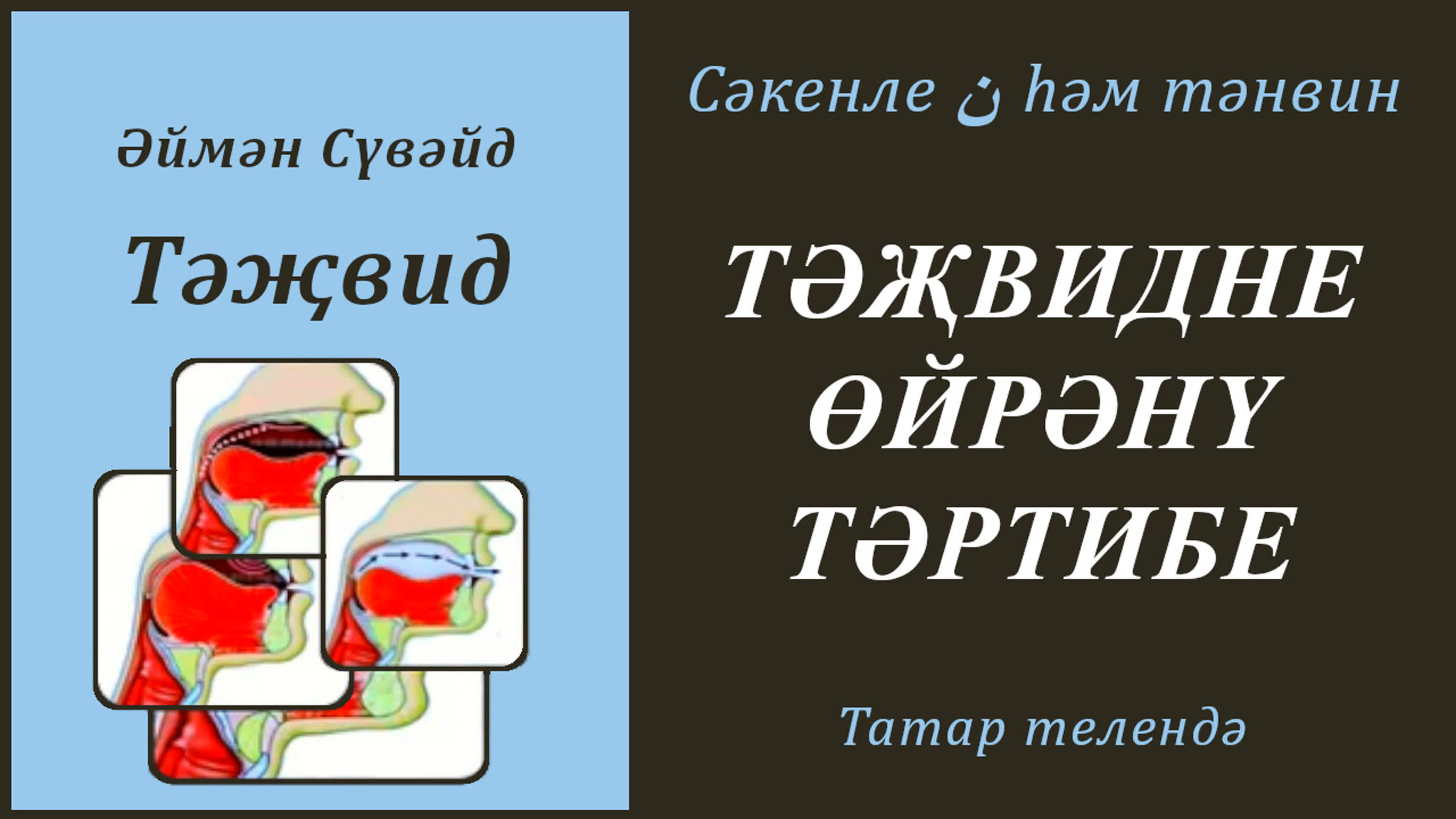 11. Сәкенле нун һәм тәнвин (Әймән Сүвәйд)